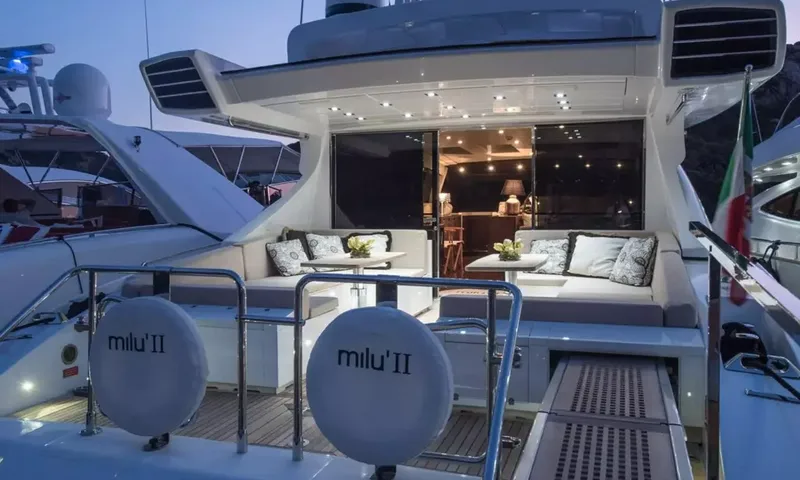 Milu II image 19