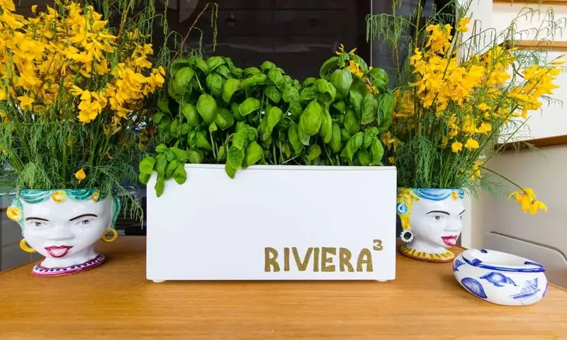 Riviera image 8