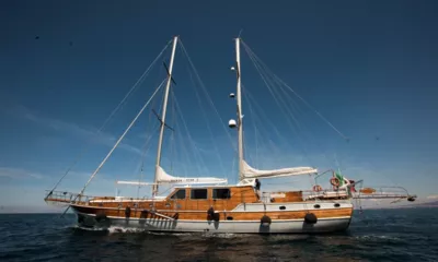 Silver Star II image 2