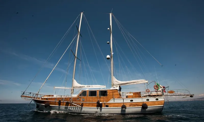 Silver Star II image 2