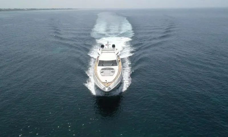 SQP image 10