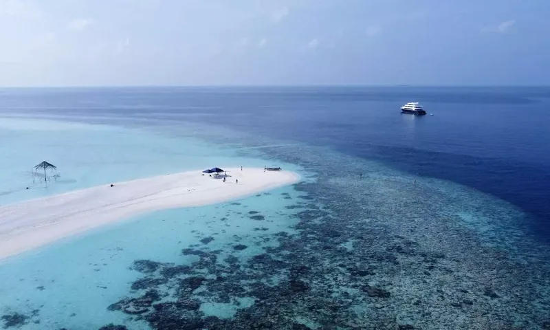 Safira image 8