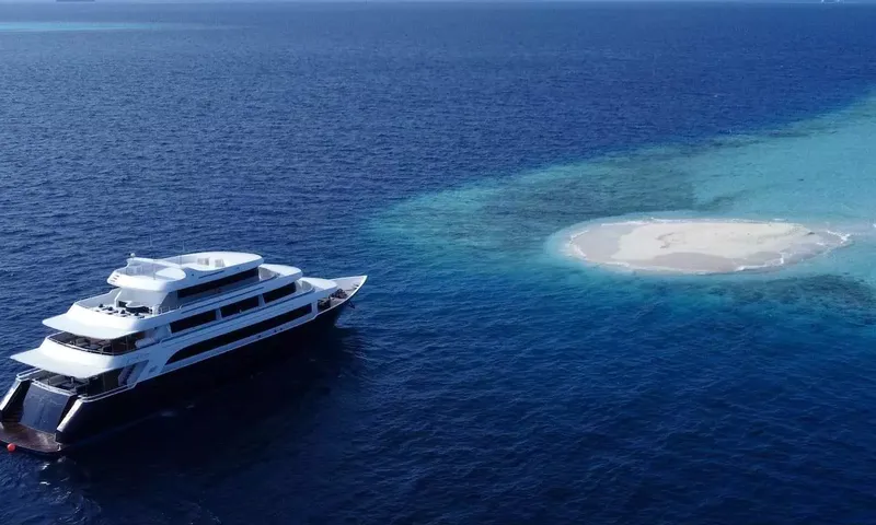 Safira image 9