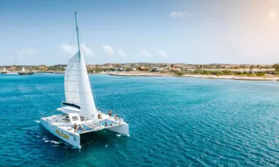 Party Cat: Catamaran naviguant dans une eau bleue avec des invités sur les filets avant et une côte à l'arrière-plan