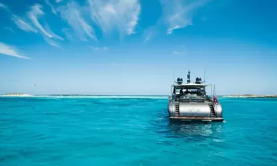 Aya image 5