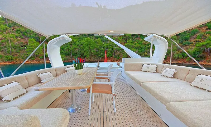 Blanco image 3