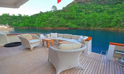 Blanco image 5