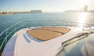 Majesty 48 image 2