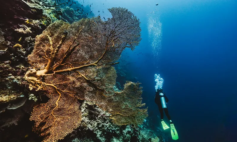 Kudanil Explorer image 39