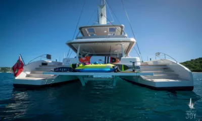 Joy II image 3