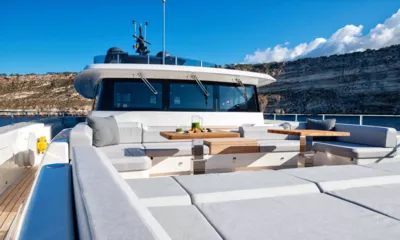 Paloma image 5