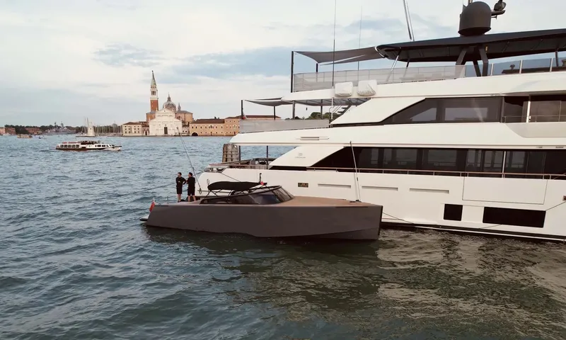 Paloma image 18