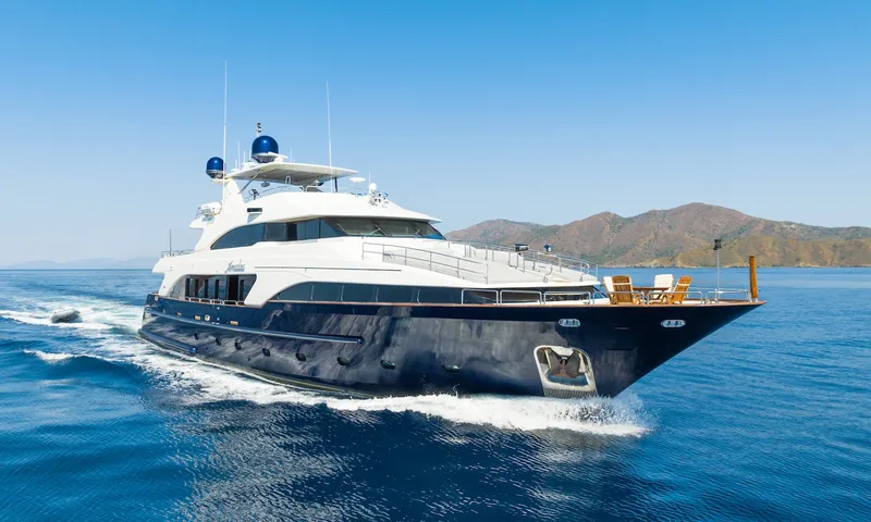 Amadea image 1