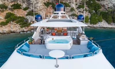 Amadea image 5
