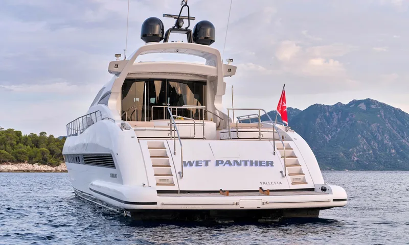Wet Panther image 2