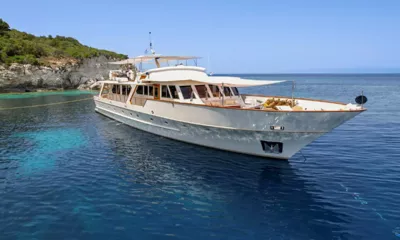 Stalca image 2