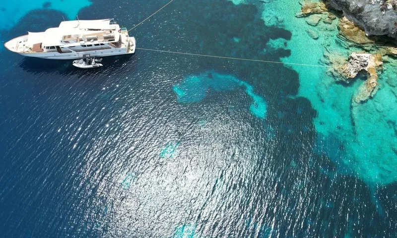 Stalca image 12