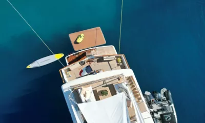 Stalca image 5