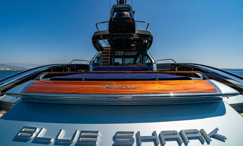 Blue Shark image 16