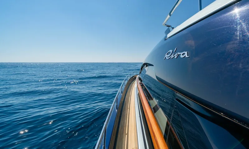 Blue Shark image 20