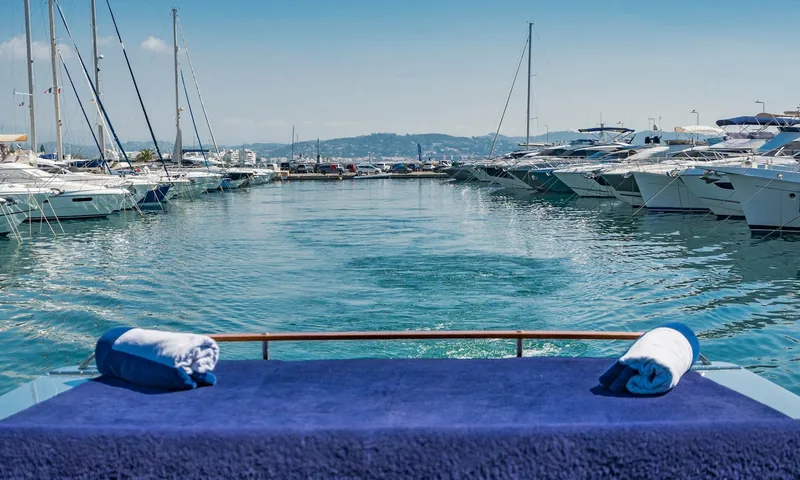 Blue Shark image 28