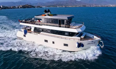 Albatros thumbnail