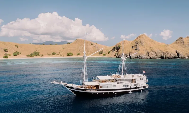 Aliikai image 1