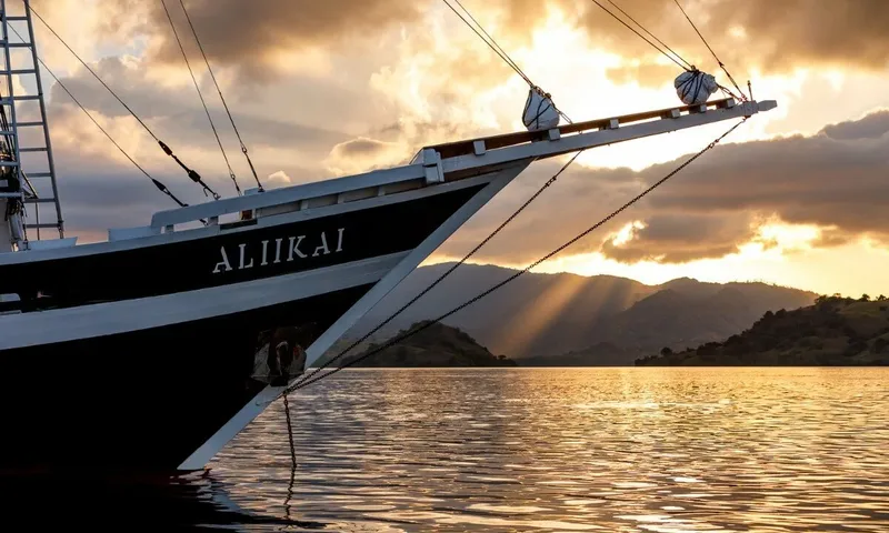 Aliikai image 28