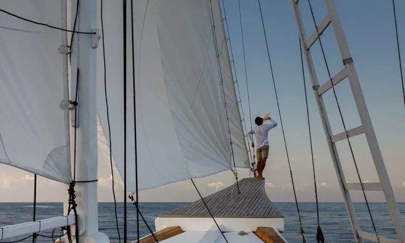 Aliikai image 32