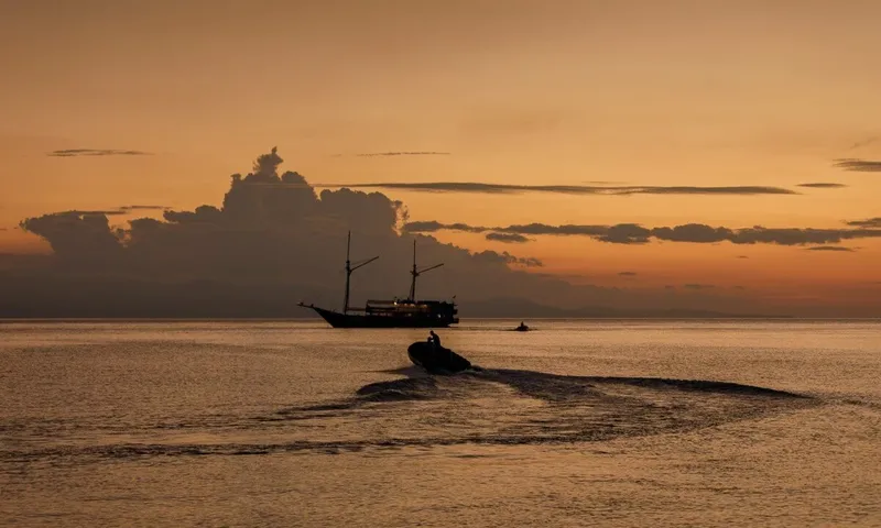 Aliikai image 36