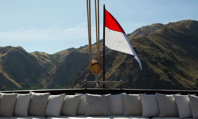 Vela image 22
