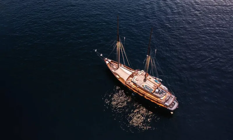 Vela image 2