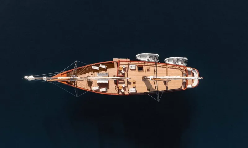Vela image 3
