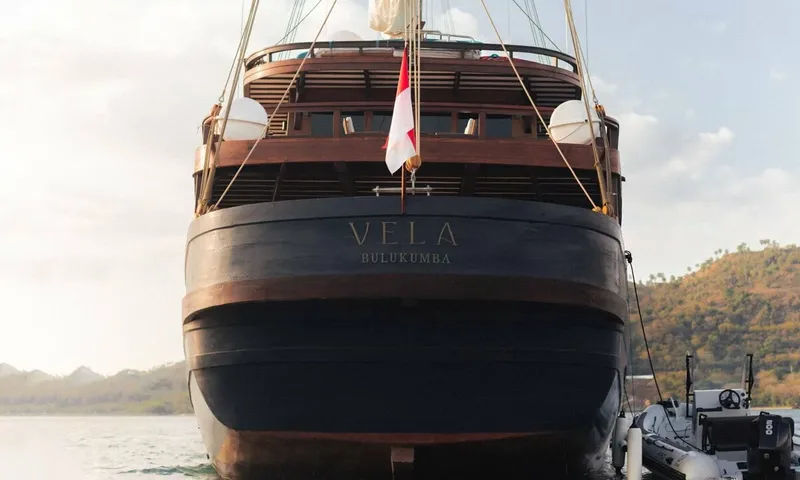 Vela image 38