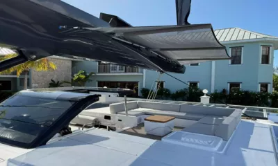Flying Whale image 5