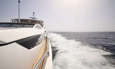 White Pearl I image 5