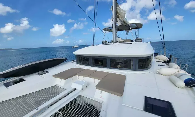 Swan image 13