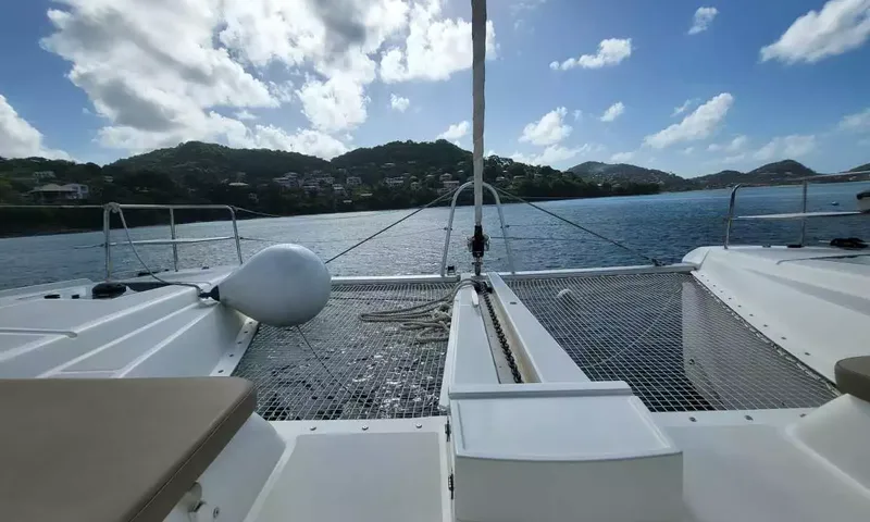 Swan image 15