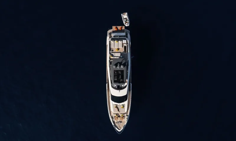 Allegria II image 13