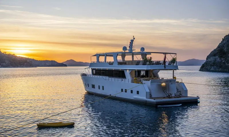 Lila Trawler – Bild 1