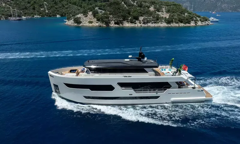 Lady Luna image 1