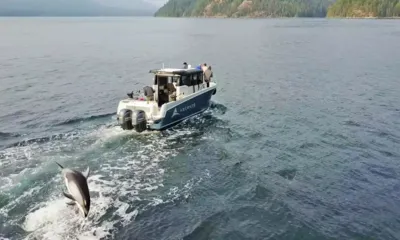 Ascente: Hóspedes a bordo do bote auxiliar enquanto um golfinho salta em sua esteira