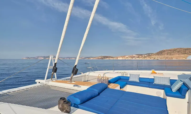 Aphaea image 14