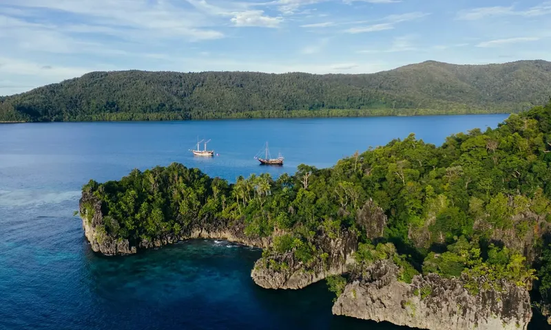 Senja image 20
