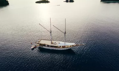 Senja image 3