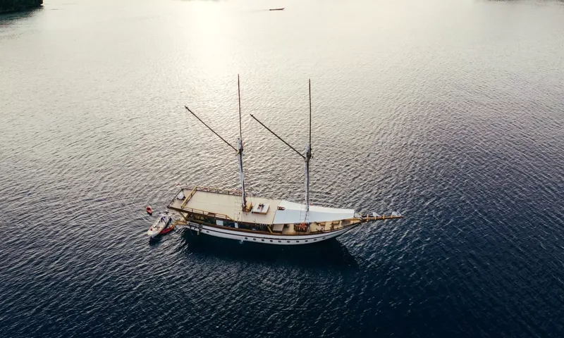 Senja image 3