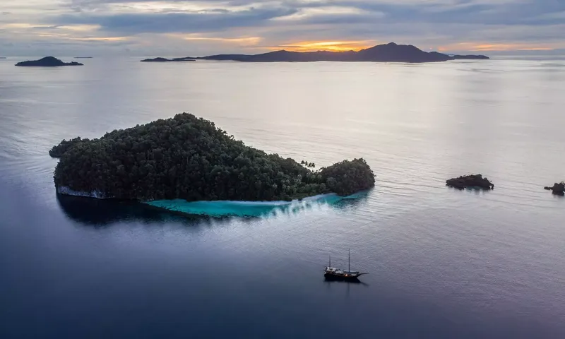 Senja image 13