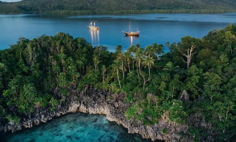 Senja image 2