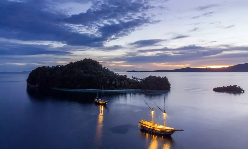 Senja image 1