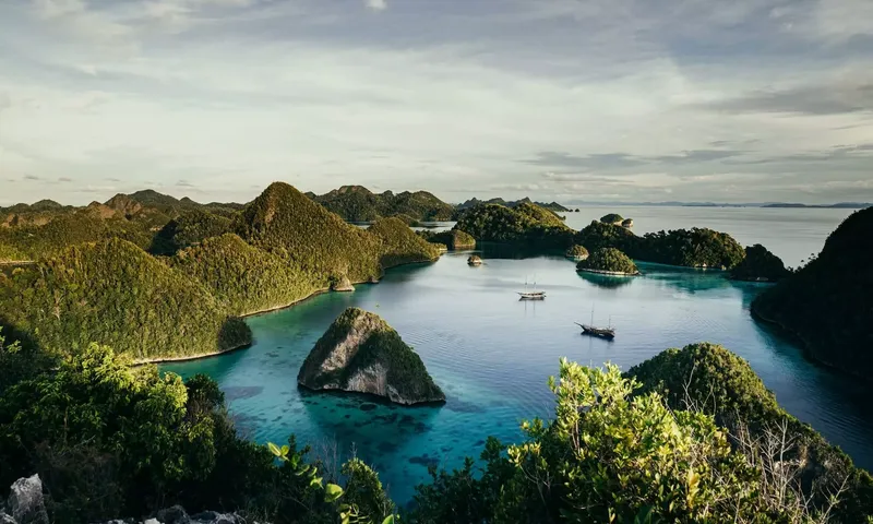 Senja image 18